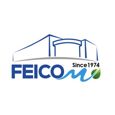 Logo FEICOM